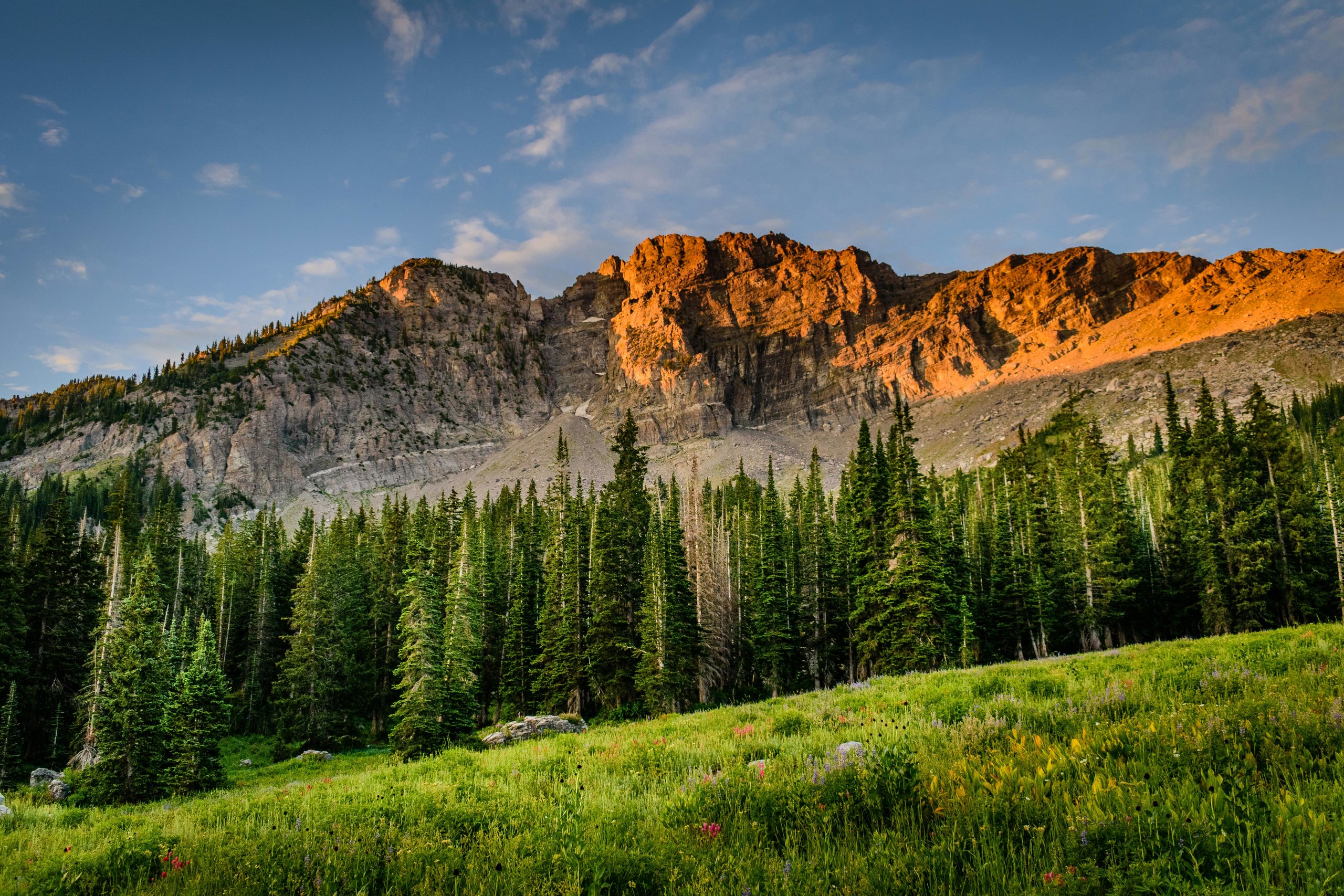 mountain